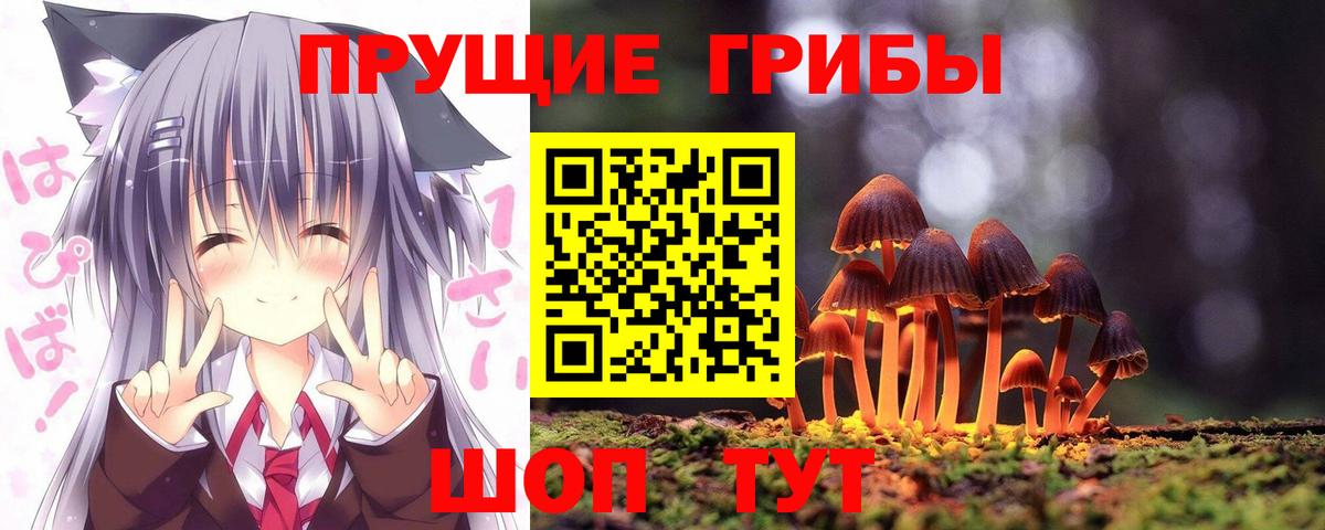 Галлюциногенные грибы прущие грибы  Вход с VPN  Великий Новгород 